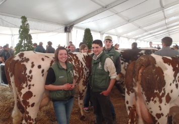 Don Bosco à Giel au concours départemental de la race Normande