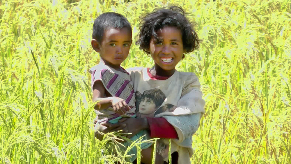 Le lycée de Ressins solidaire de Madagascar