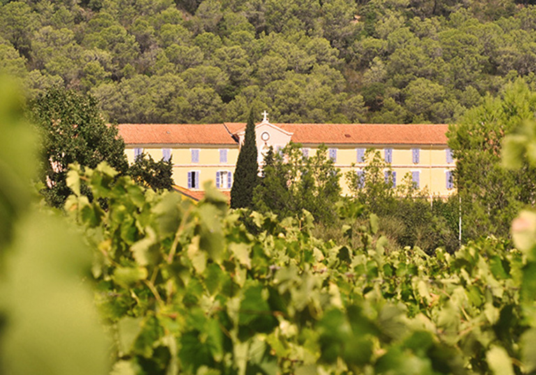 Domaine « Le Songe de Don Bosco » : les vins de La Navarre entre histoire séculaire et modernité écologique