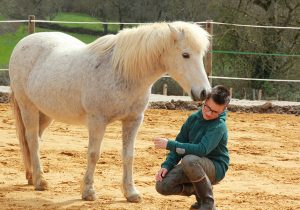 Les Amis de Jalna : l’équithérapie, lieu d’une rencontre, chemin vers soi… et vers Dieu