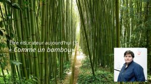 Etre éducateur aujourd’hui (3) : « Comme un bambou »