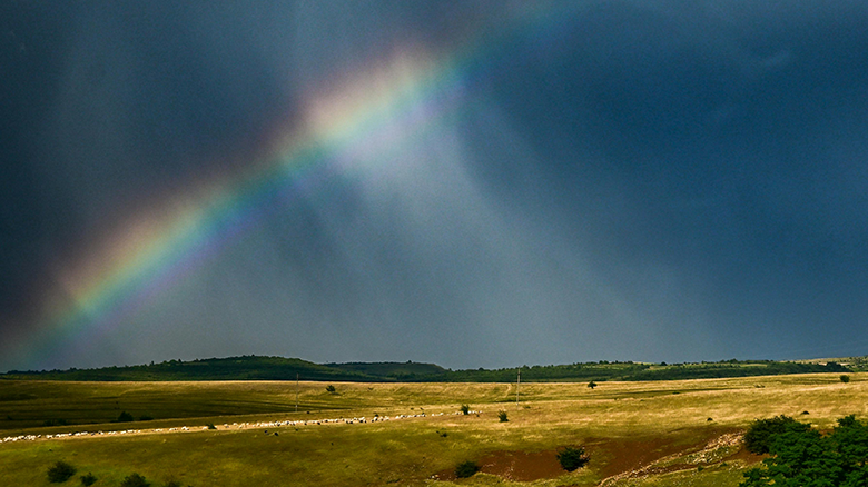 Espérer contre toute espérance