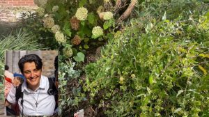 « Écologie et espérance », par sœur Anne Méjat